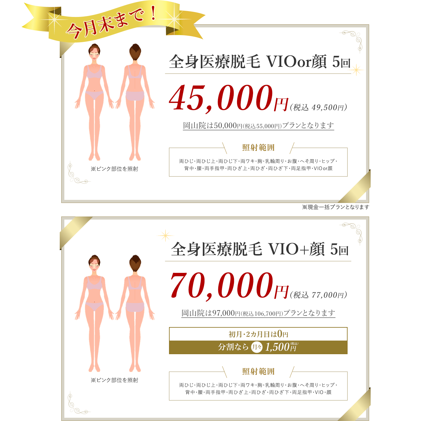 全身医療脱毛プチ 全身脱毛5回 33,000円（税別） 全身医療脱毛パーフェクト 全身脱毛5回 96,000円（税別）