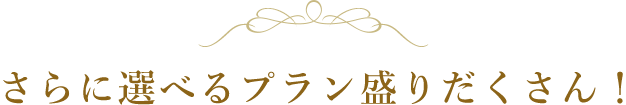 さらに選べるプラン盛りだくさん