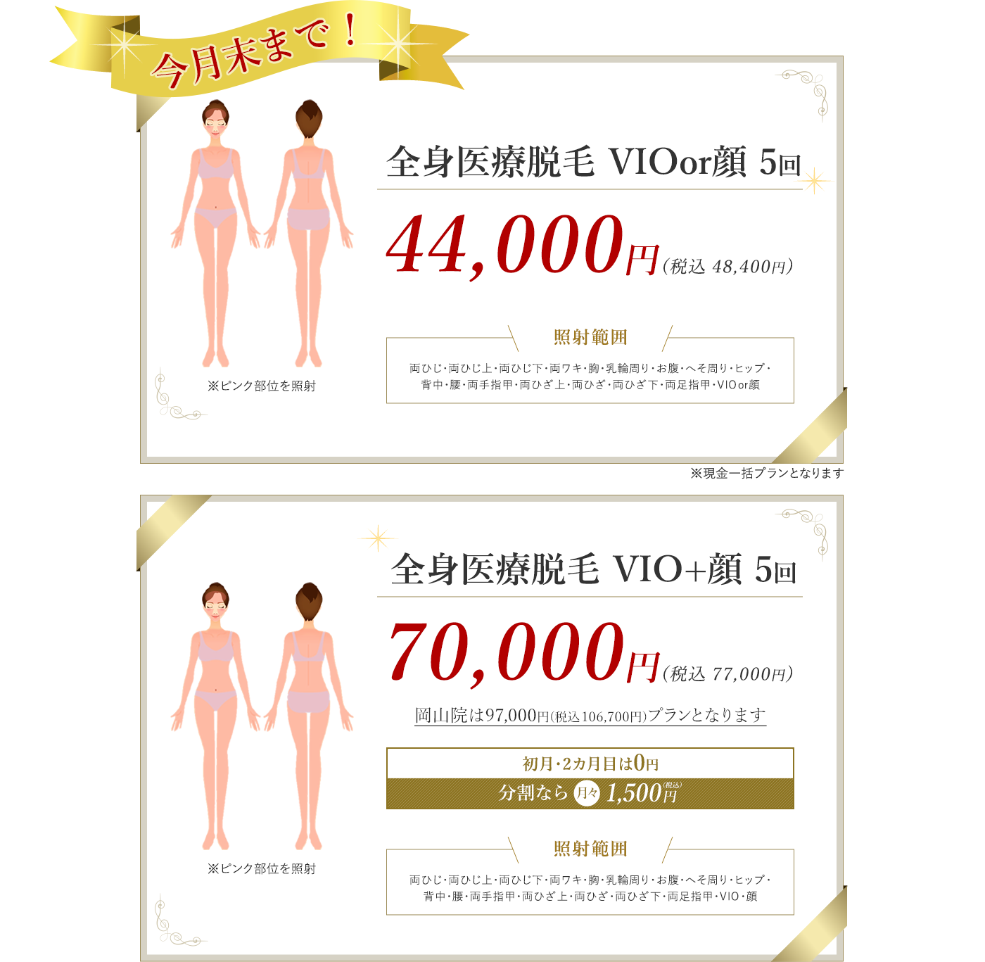 全身医療脱毛プチ 全身脱毛5回 33,000円（税別） 全身医療脱毛パーフェクト 全身脱毛5回 96,000円（税別）