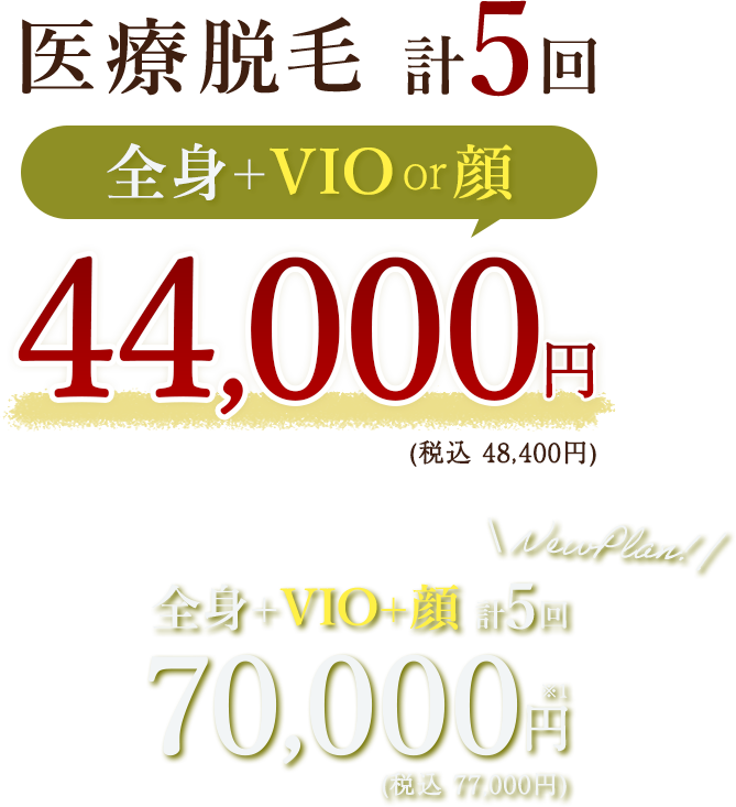 見える部位だけ 全身医療脱毛 5回33,000円（税別） オーダーメイド脱毛 最短5か月で脱毛完了 追加料金不要